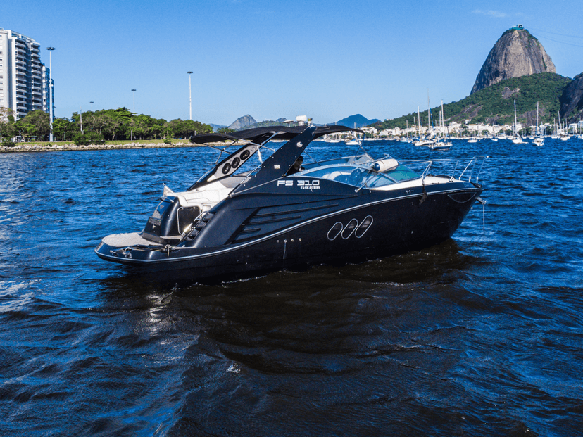 FS310 Black Pearl