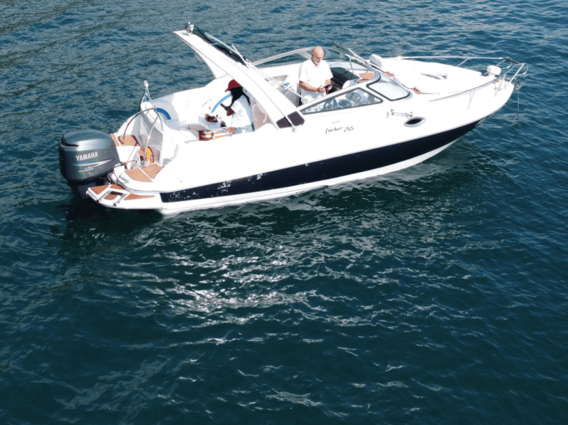 Focker 255 IB