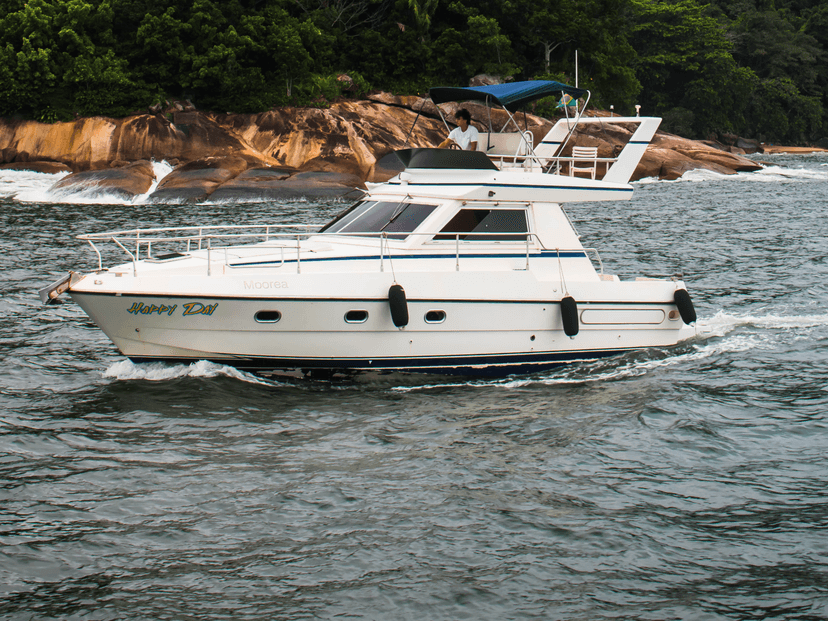 Sea Baron 38