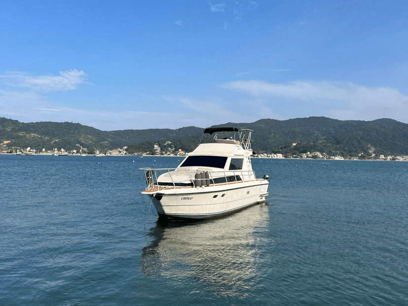 Oceanic 36  PB M