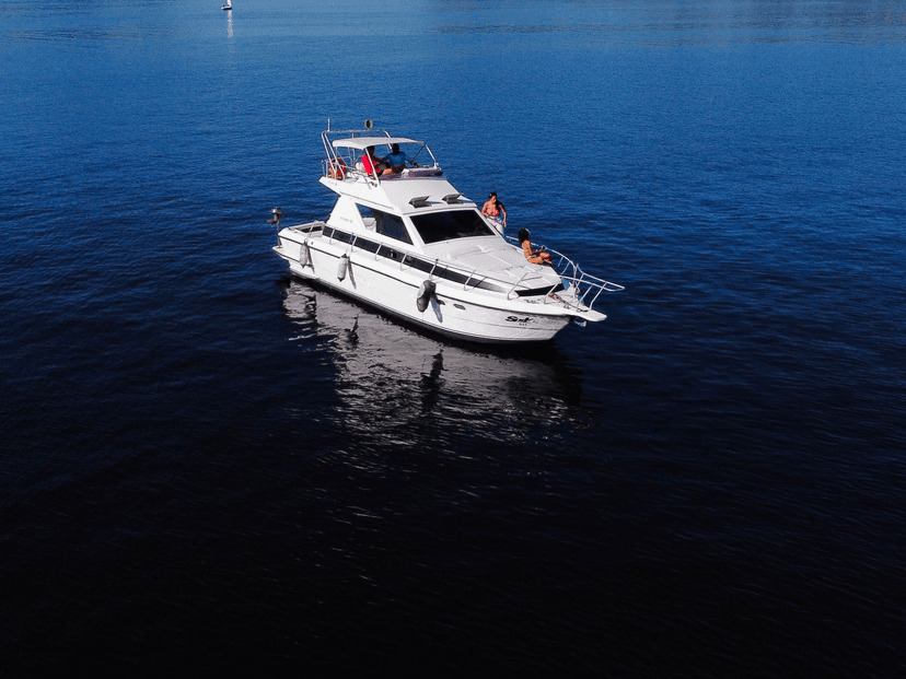 Oceanic 36 RJ