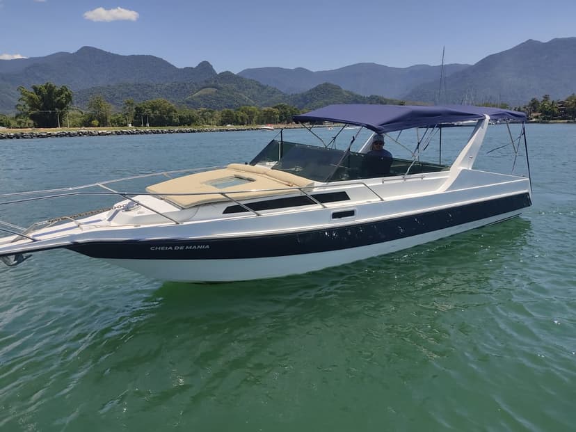30 foot speed 12 passengers the rio de janeiro