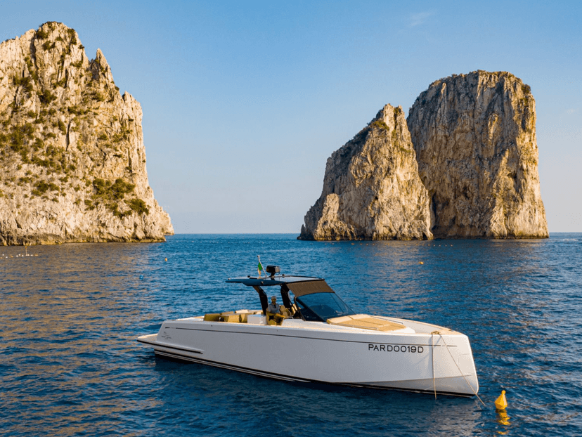 Pardo 43