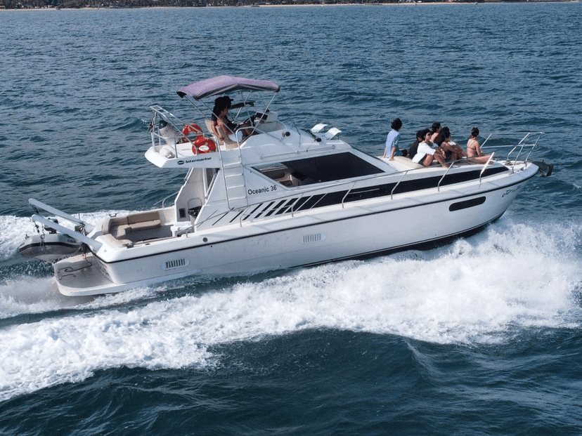 Oceanic 36 IB