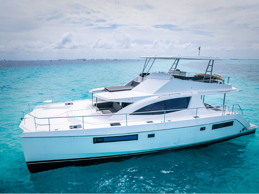 Leopard PowerCat The Office 51